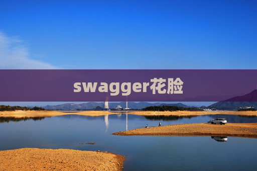 swagger花脸 swagger花脸